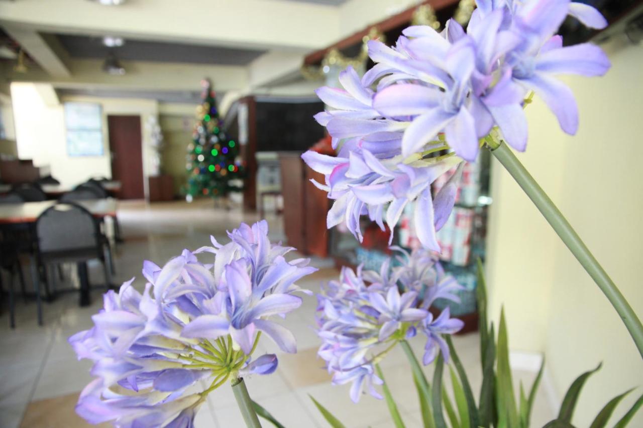 Pandu Lakeside Hotel פראפאט מראה חיצוני תמונה